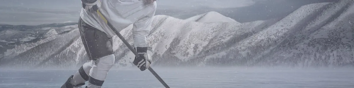 Hockey stick